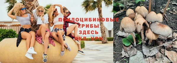 спайс Надым