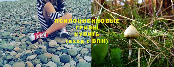 спайс Надым